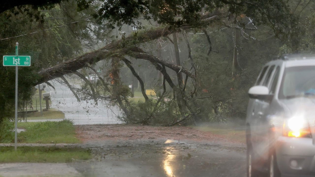 Isaias soaks the Gulf Coast after making landfall as Category 2 hurricane (Video)
