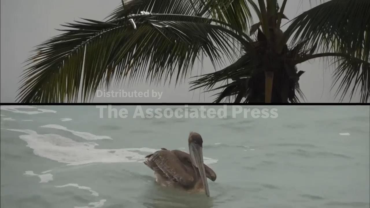 Mexico's Puerto Vallarta braces for powerful Hurricane Simon as tourists await landfall (Video)