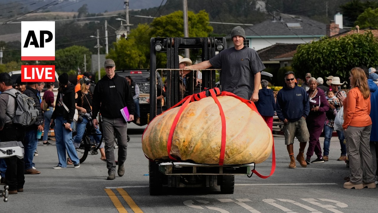 LIVE: Giant pumpkins compete at annual Northern California weigh-off (Video)