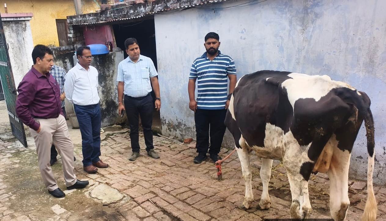 J&K: Central team visits areas affected by animal LSD