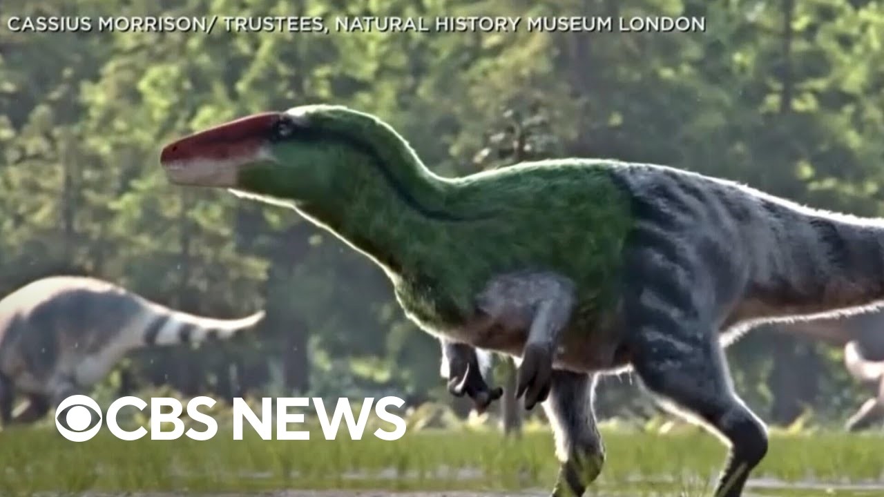 Animation depicts newly-discovered dinosaur species (Video)