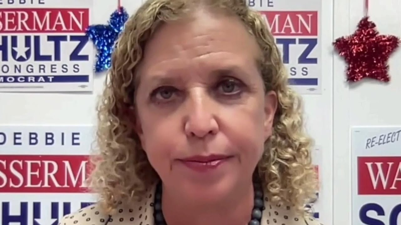 Wasserman Schultz says she thinks Florida GOP's redistricting will "end up a big fat dummymander" (Video)