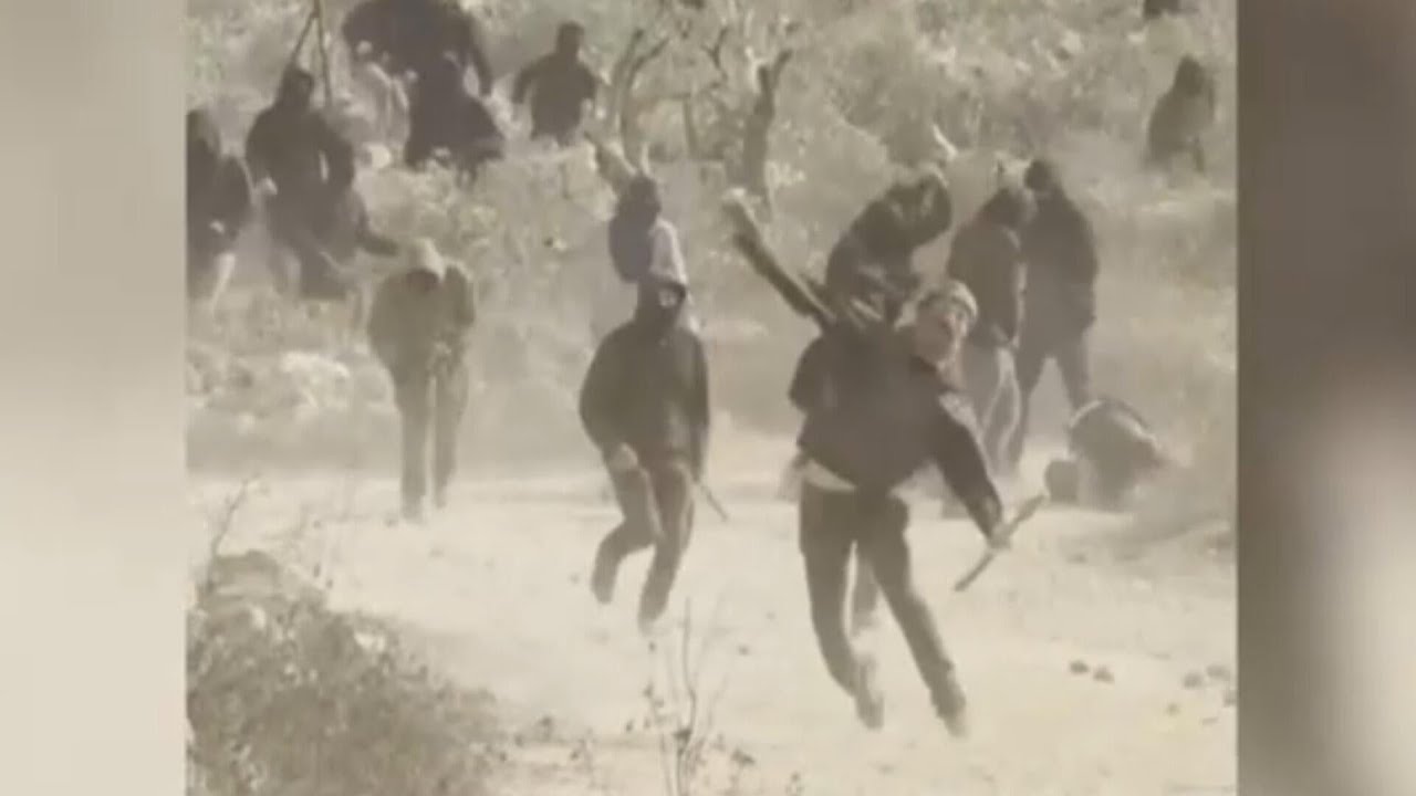 Israeli settlers attack American journalist and Palestinians during olive harvest in West Bank (Video)