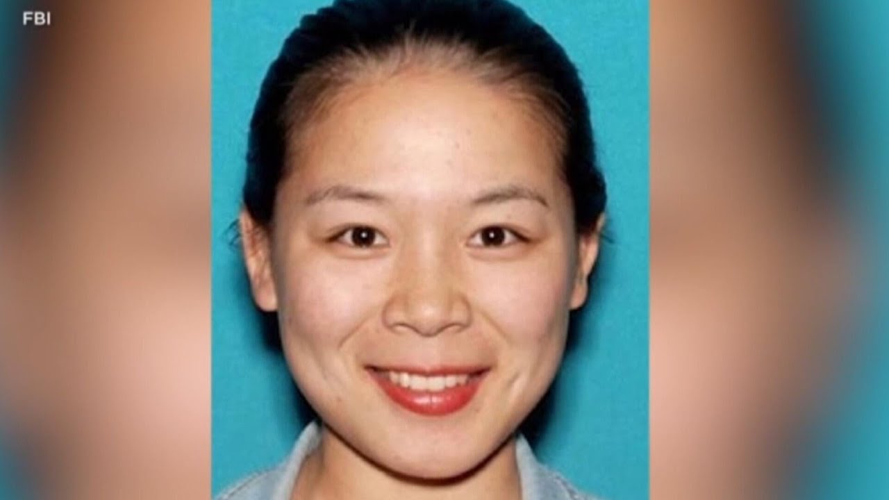 Alleged Chinese agent has ties to overseas scam group (Video)