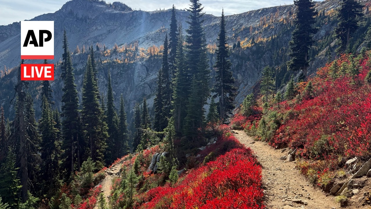 LIVE: Fall foliage from across the US (Video)