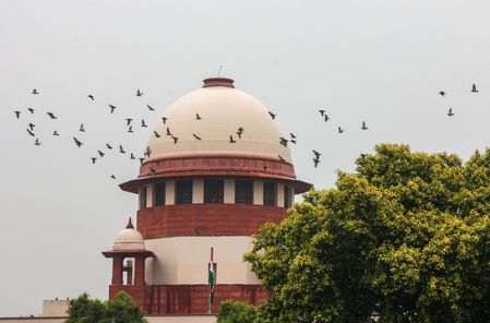 SC orders fresh elections in two more Patiala municipal wards