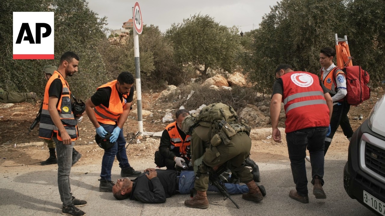 Palestinians attacked by Israeli settlers in occupied West Bank during olive harvest (Video)