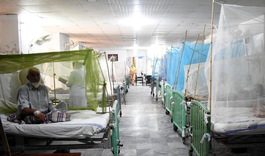 Pakistan's Khyber Pakhtunkhwa reports 100 dengue cases in 24 hours