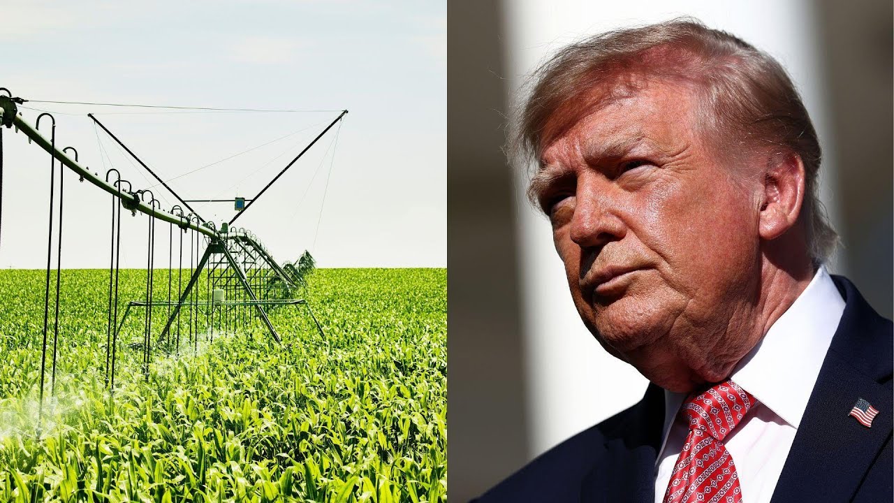 Trump announces $8 billion relief money for farmers but their huge economic concerns linger (Video)