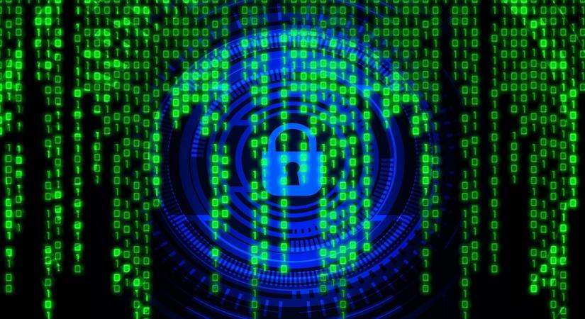 US veteran data theft suspect pleads guilty