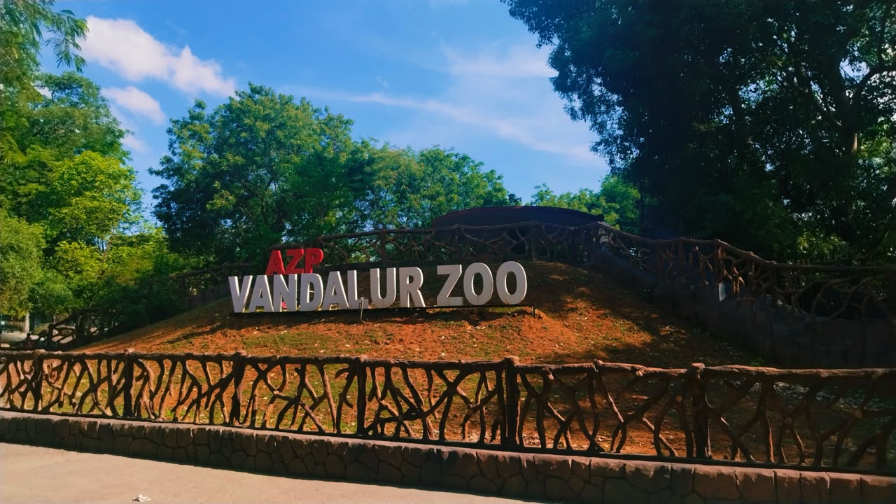 Bird flu confirms at TN's Vandalur zoo; public entry suspended for two days