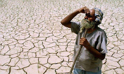 Drought in Rajasthan: Ashok Gehlot questions government, Kirodi Lal Meena responds
