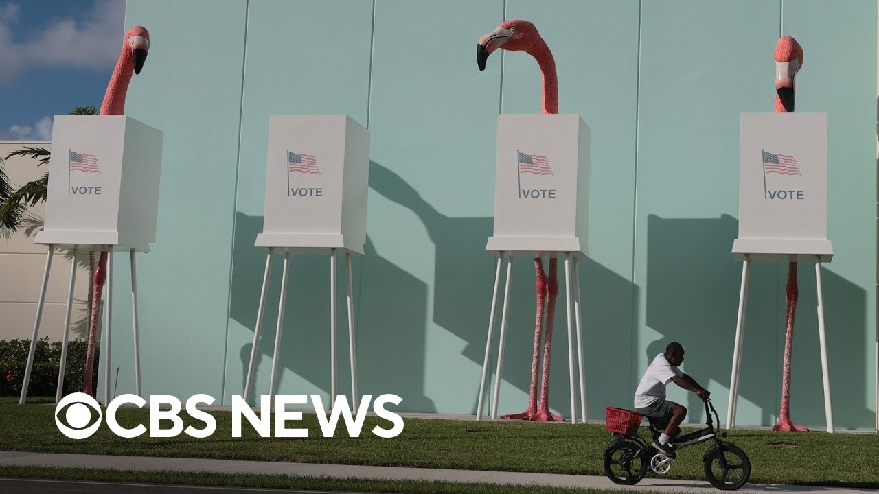 Unpacking early voting trends in North Carolina and Florida (Video)
