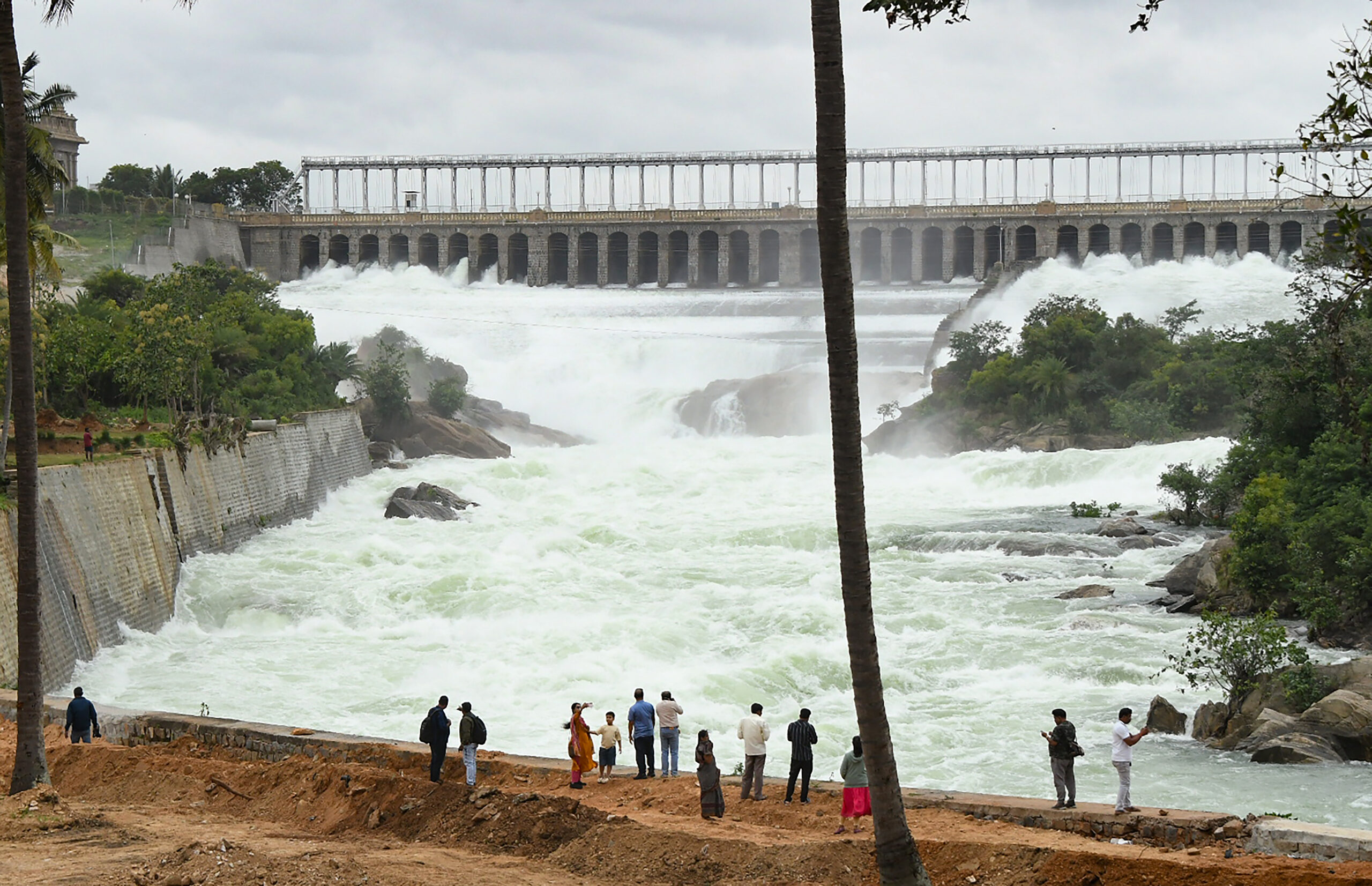 Karnataka govt betraying state's interests by releasing Cauvery water to Tamil Nadu: BJP