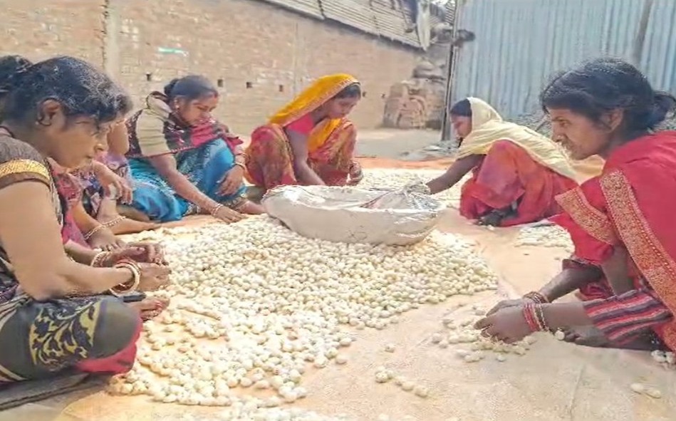 Purnia traders hail PM Modi's inspiring words on makhana, say youth getting drawn towards cultivation