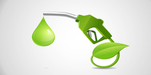 Centre notifies 'E100' fuel norms for flex-fuel vehicles