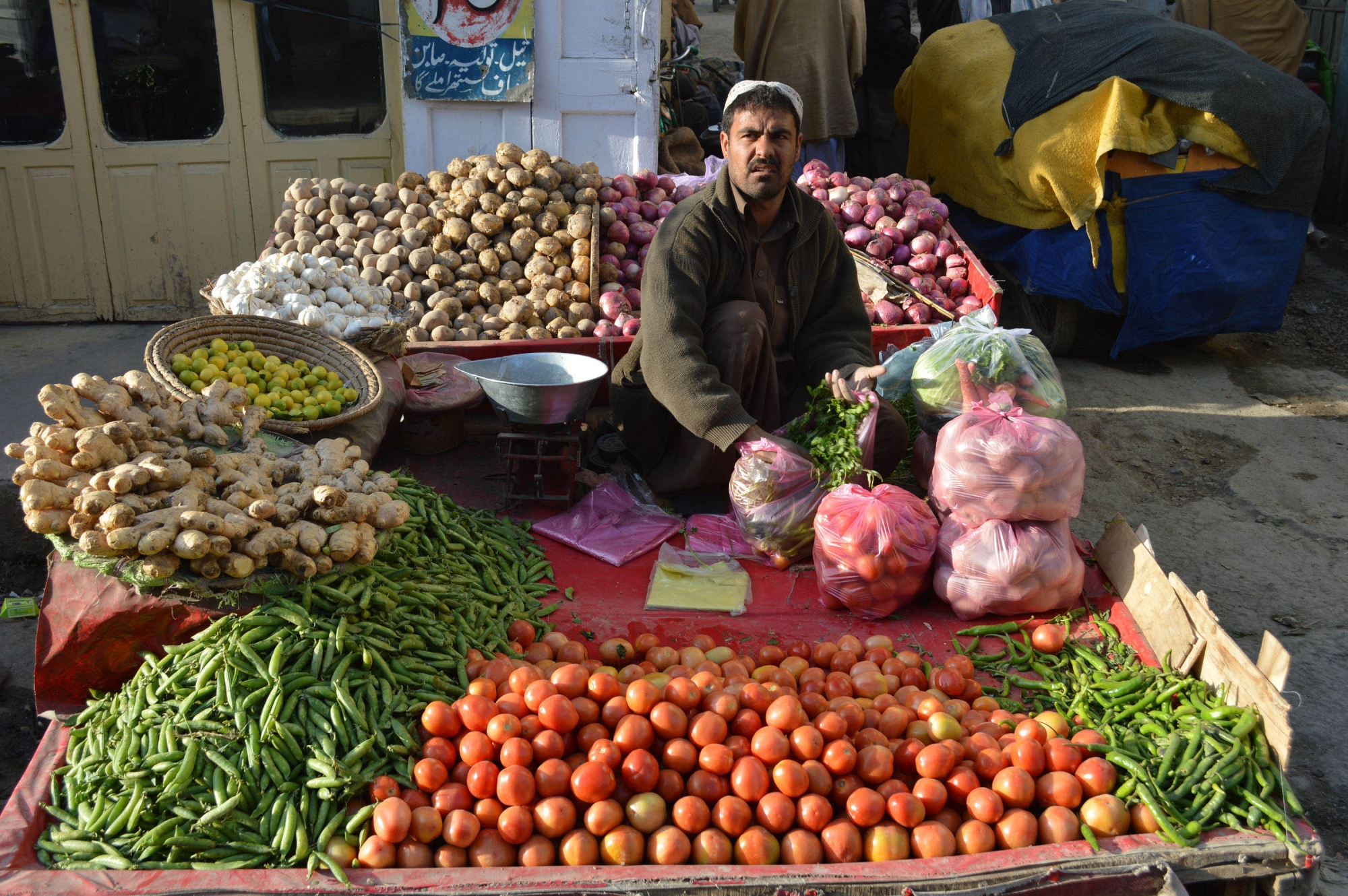 Pakistan's food supply fails national dietary guidelines: FAO