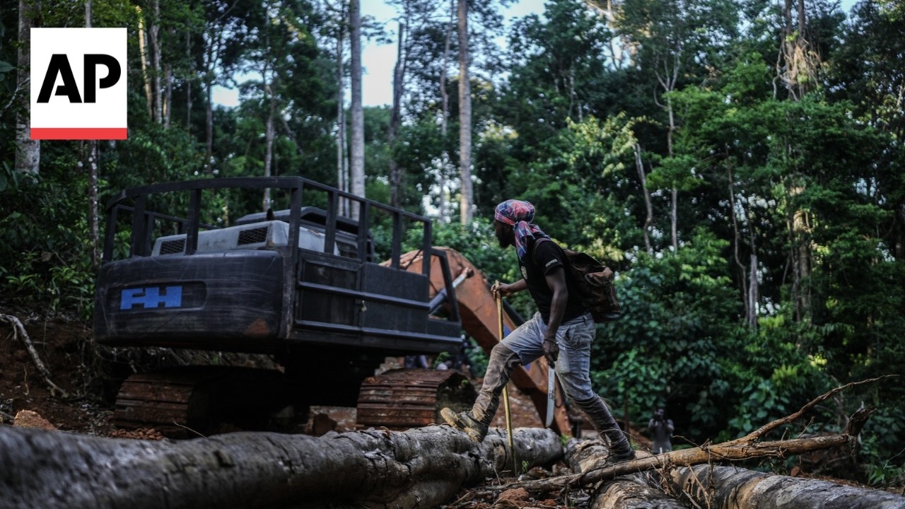 Suriname tribe protects the Amazon rainforest amid illegal cutting and mining (Video)
