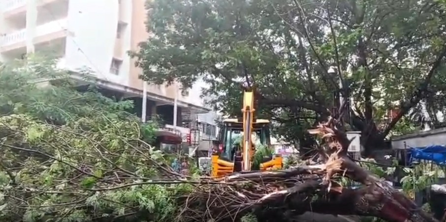 Cyclone ‘Arnab’ makes landfall, heavy rain lashes coastal Andhra