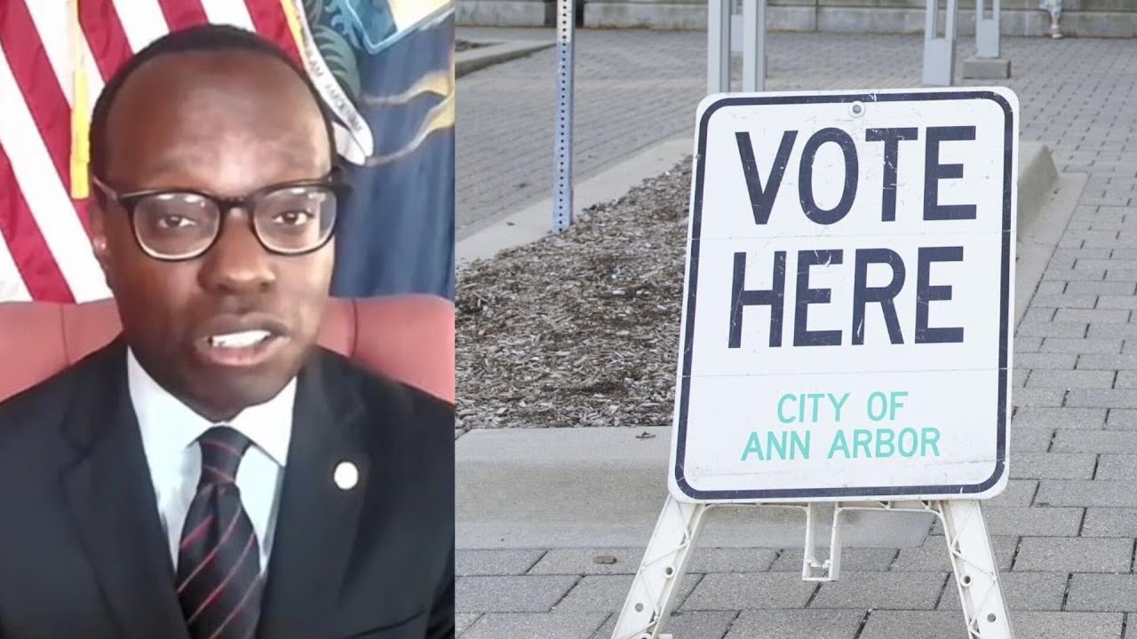 Michigan's deputy secretary of state talks election security as Senate race heats up (Video)