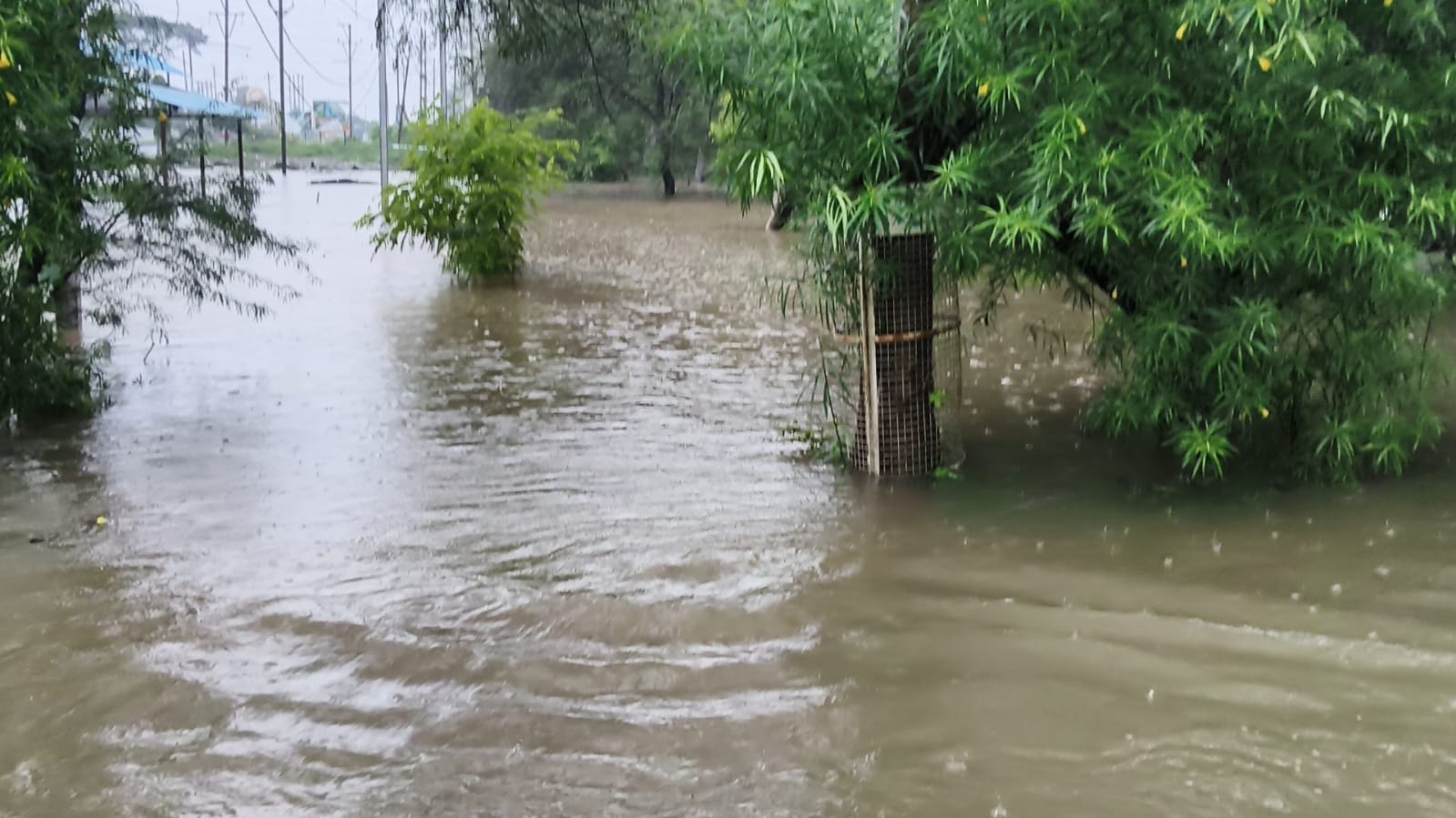 IMD issues orange alert for extremely heavy rain in eastern MP