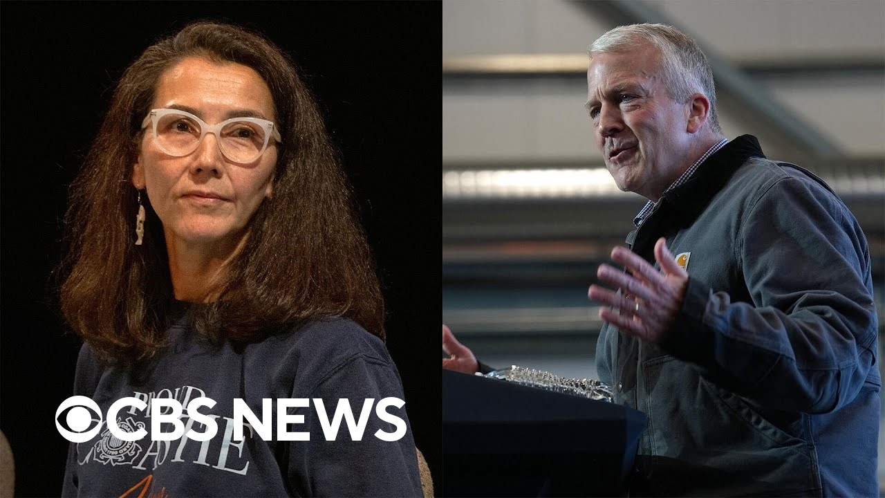 Democrats pushed to get second Dan Sullivan on Alaska ballot with Peltola's help, NYT reports (Video)