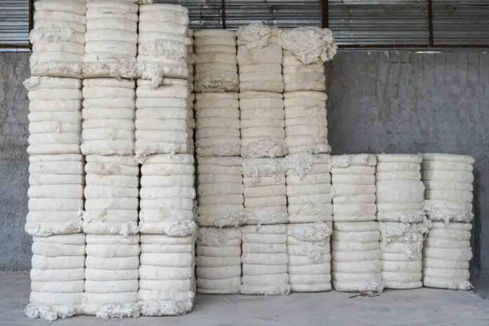 Centre extends customs duty exemption on cotton imports till December 31